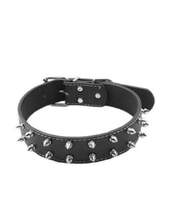 Pack of 2 LEASH+ COLLAR leather -Black