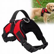 Dog Pet Adjustable Harness and Leash Set pet harness straps For Small Dog