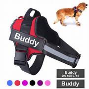 Dog Pet Adjustable Harness and Leash Set pet harness straps For Small Dog